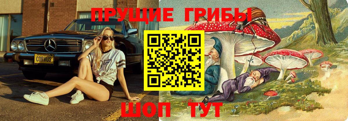 Галлюциногенные грибы Magic Shrooms  закладки  Касимов  Вход с VPN 